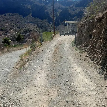 El Palmeral